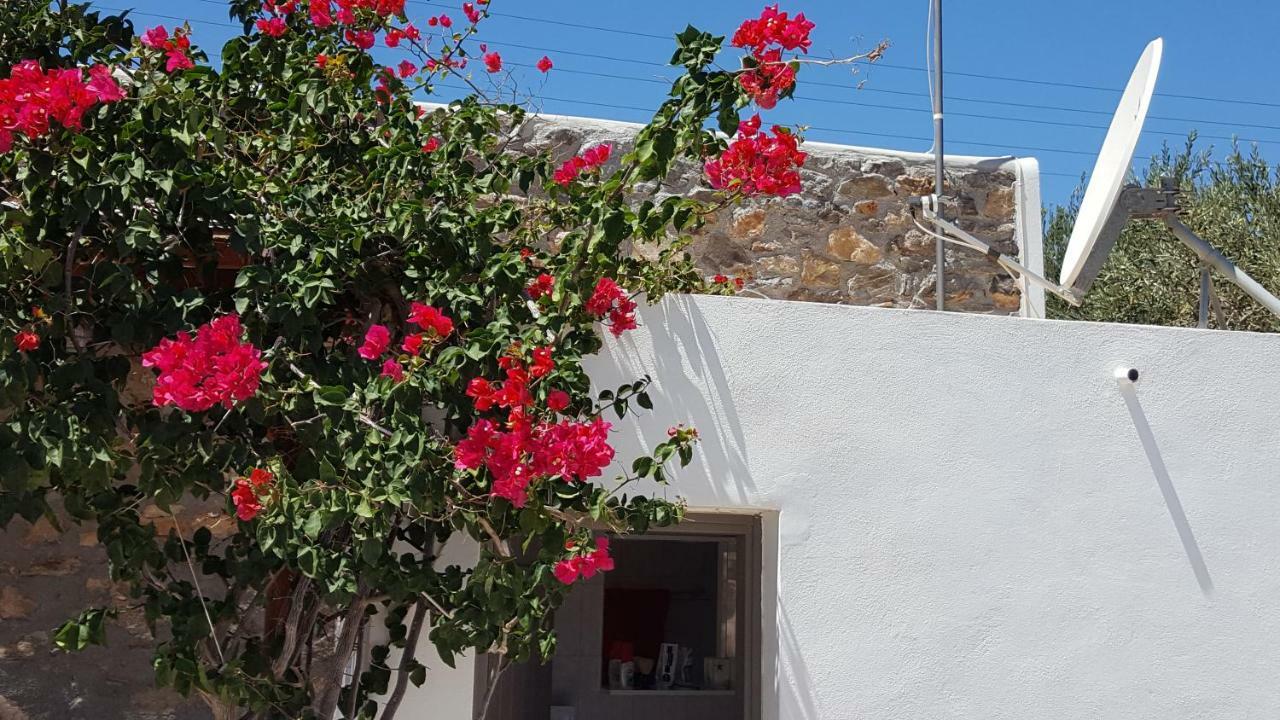 Flora'S Beach And Pool Villa In Syros Liaropá Extérieur photo